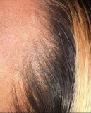 13X4 LACE FRONT WIG: STRAIGHT HONEY BLONDE/BROWN HIGHLIGHT OMBRE